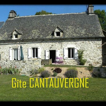 Gite Cantauvergne Βίλα Vebret Εξωτερικό φωτογραφία