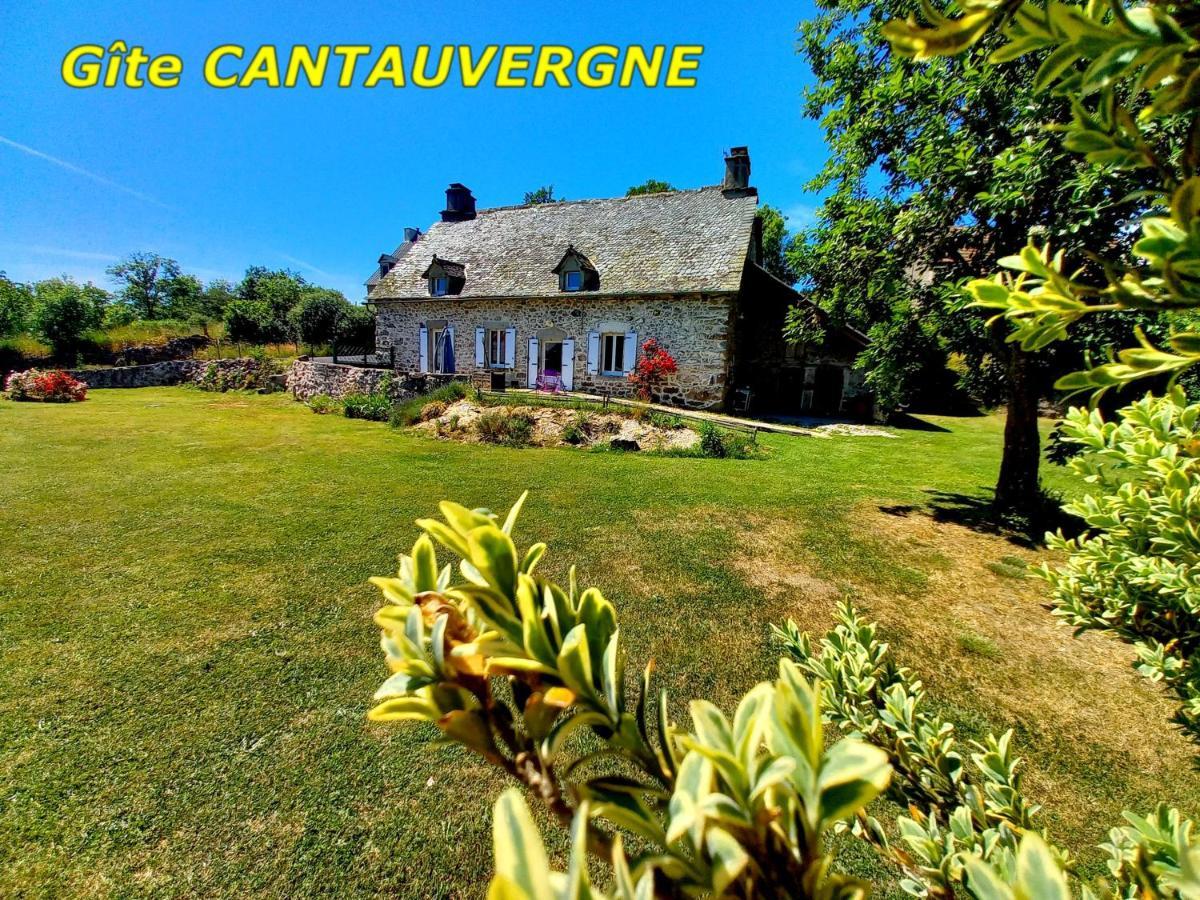 Gite Cantauvergne Βίλα Vebret Εξωτερικό φωτογραφία