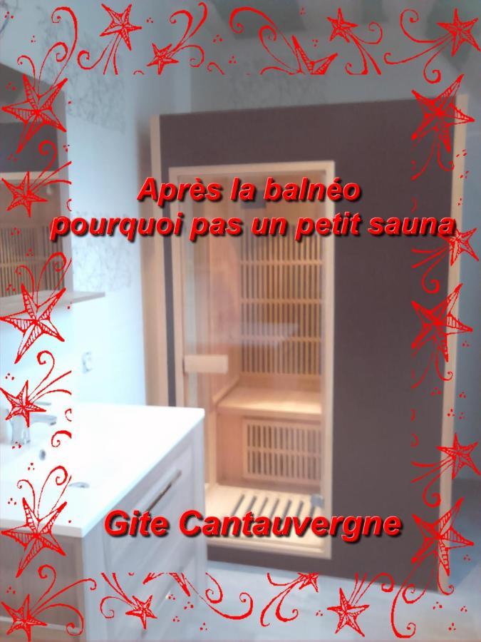Gite Cantauvergne Βίλα Vebret Εξωτερικό φωτογραφία