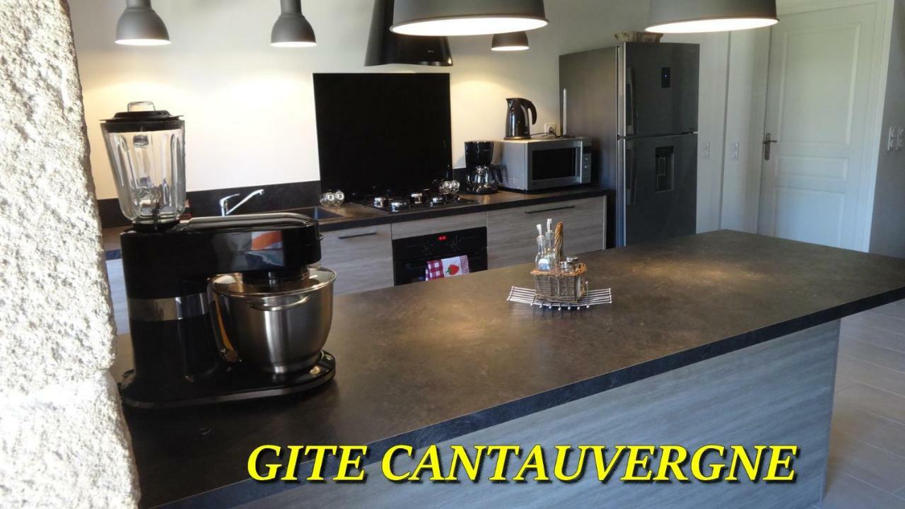 Gite Cantauvergne Βίλα Vebret Εξωτερικό φωτογραφία