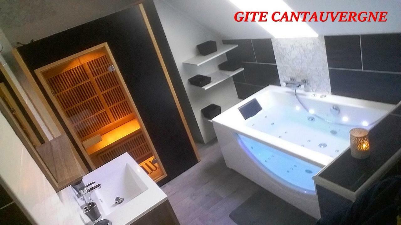 Gite Cantauvergne Βίλα Vebret Εξωτερικό φωτογραφία