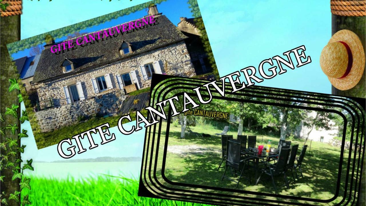 Gite Cantauvergne Βίλα Vebret Εξωτερικό φωτογραφία