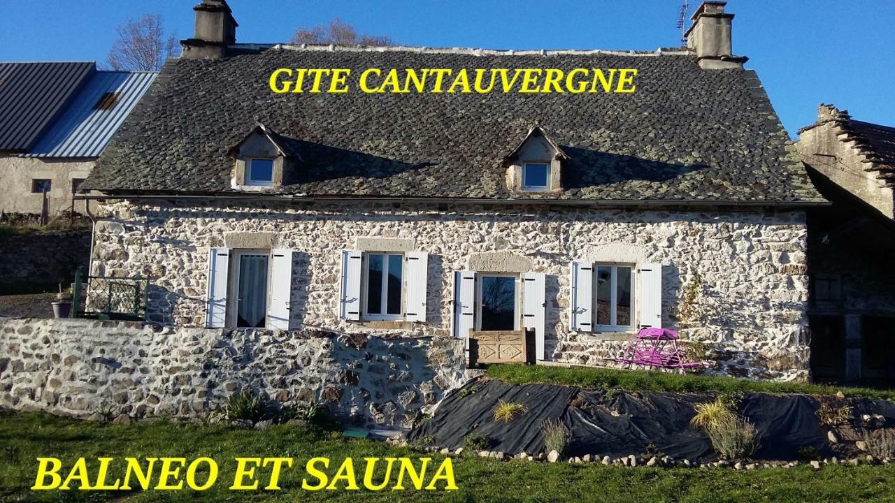 Gite Cantauvergne Βίλα Vebret Εξωτερικό φωτογραφία