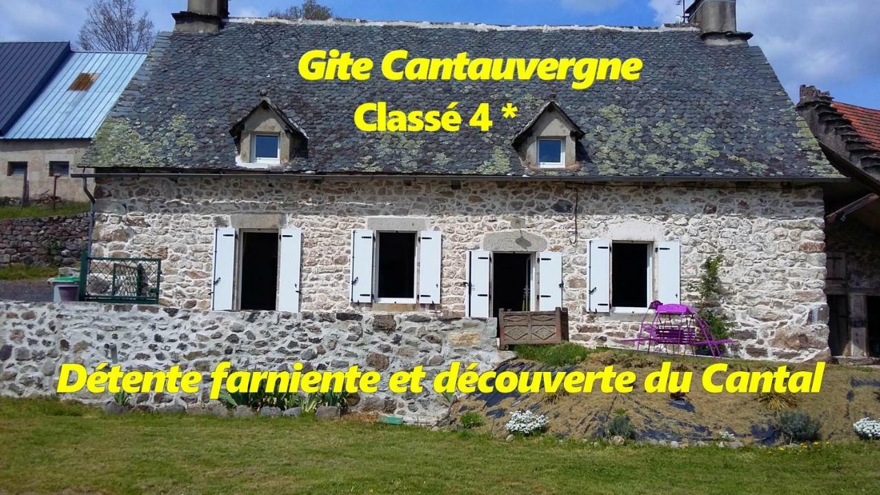 Gite Cantauvergne Βίλα Vebret Εξωτερικό φωτογραφία