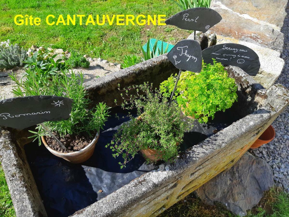 Gite Cantauvergne Βίλα Vebret Εξωτερικό φωτογραφία